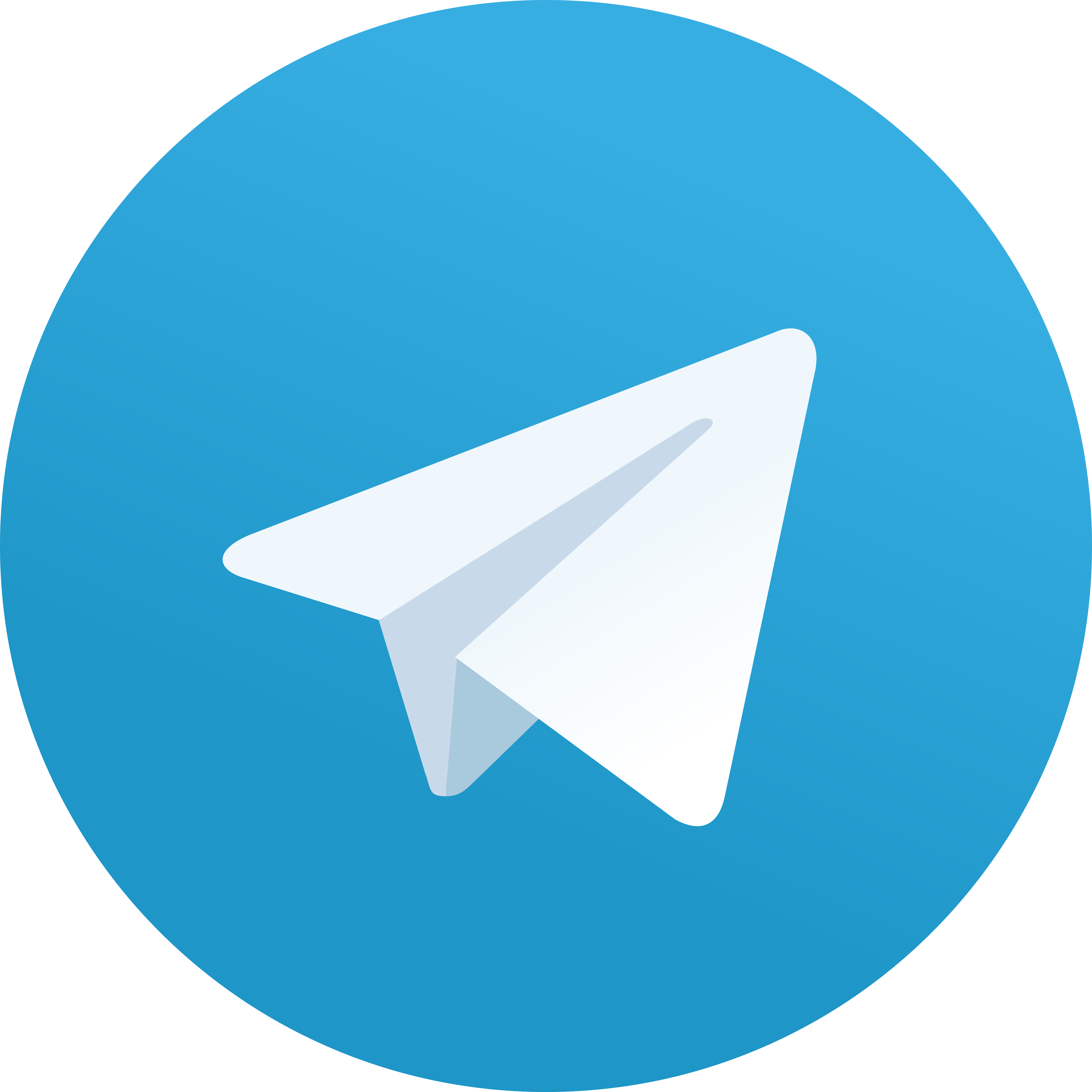 contact